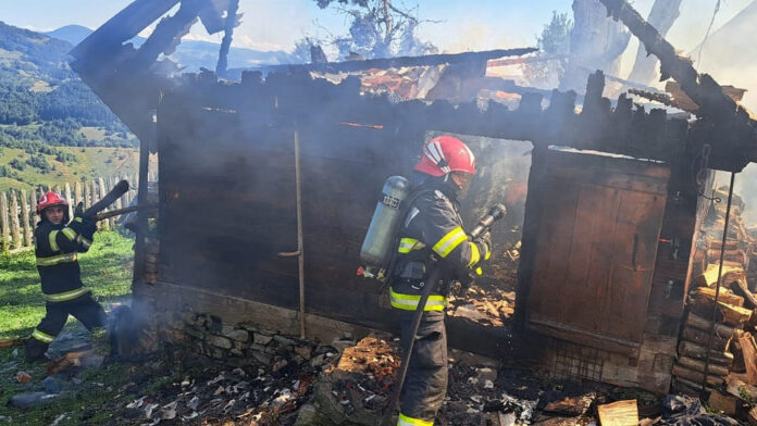 incendiu-adapost-animale-bistra-28-iul-2024.jpg