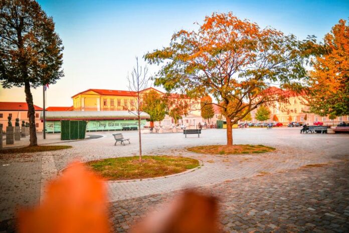 Piata-Cetatii-si-Universitatea-1-Decembrie-toamna-vremea.jpg