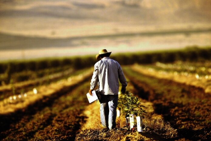 agricultori01.jpg