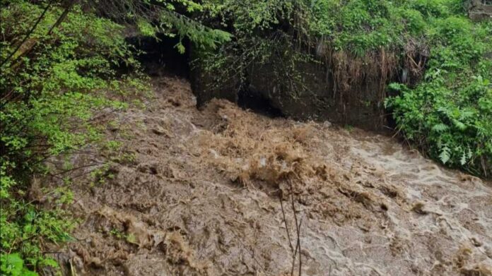 apuseni-inundatii02.jpg