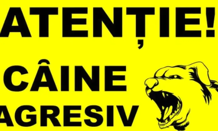 caine-periculos001-1000x600.webp.webp