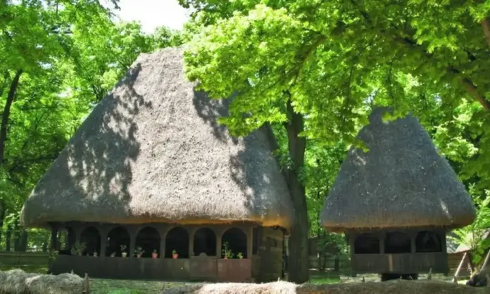 constructii-vechi-din-alba-mutate-la-muzeul-satului-dimitrie-gusti-bucuresti001-1000x600.webp.webp