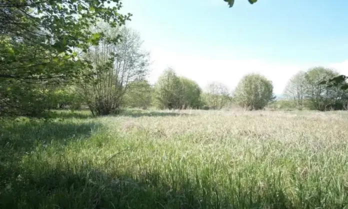 parc-alba-iulia-nord-micesti-orizont001-1000x600.webp.webp