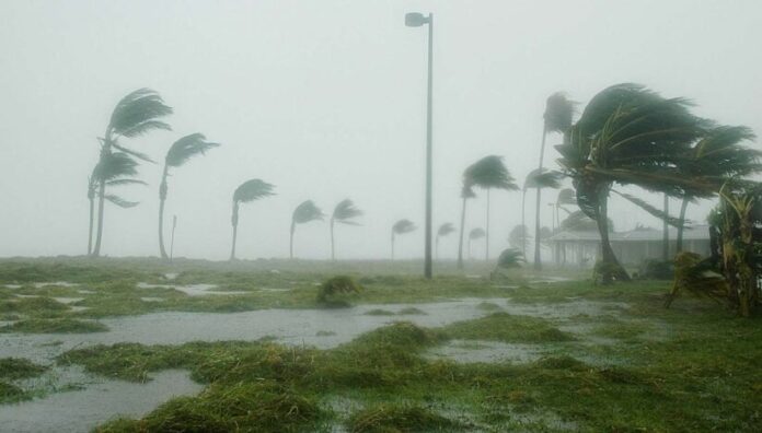 uraganflorida824x469-1728488768.jpg