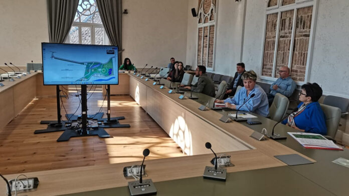 consultare-puiblica-sebes-parcul-arini-nov-2024.jpg