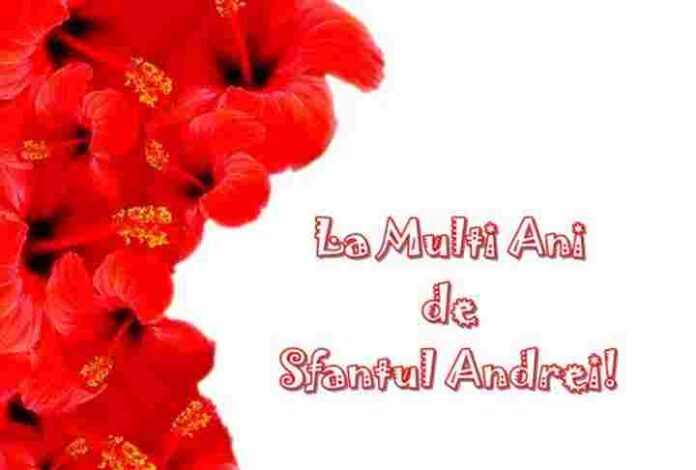 mesaje-de-Sfantul-Andrei-haioase-si-amuzante.jpg