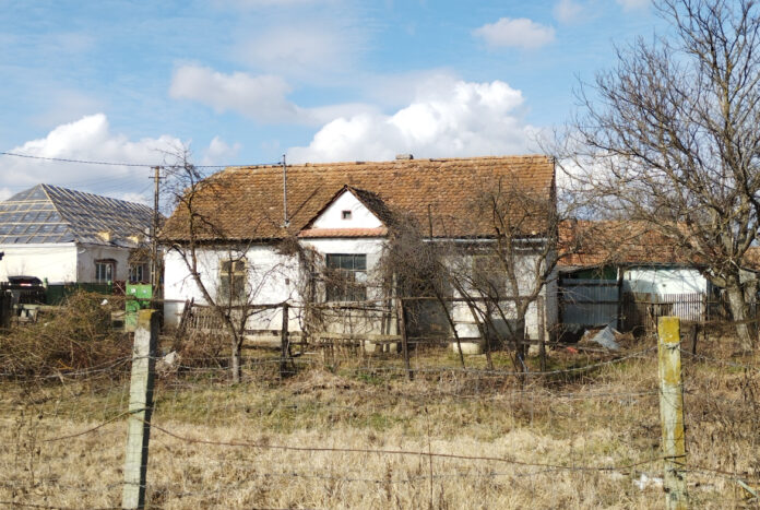 deinut-1733753580.jpg