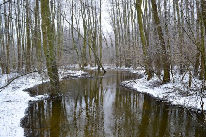 river-3102429_1280.jpg
