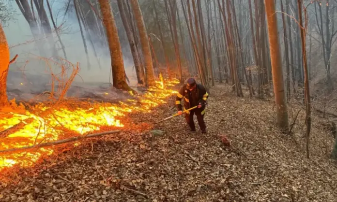 incendiu-de-vegetatie-si-litiera-de-padure-1000x600.webp.webp