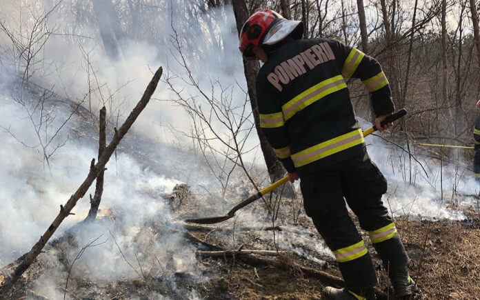 incendiu-valea-mare-7-mar-2025-960x600.jpg