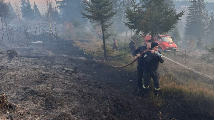 incendiu-vegetatie-uscata-ocolis-7-mar-2025.jpg