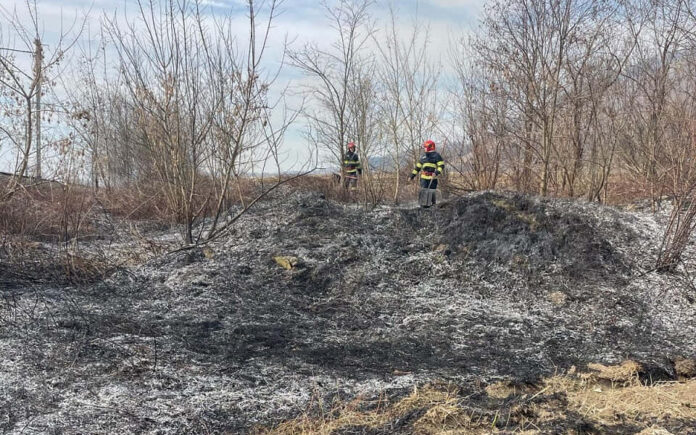 incendiu-vegetatie-uscata-valea-lunga-8-mar-2025-960x600.jpg