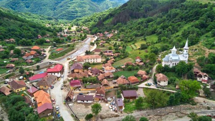 Ocolis001.jpg