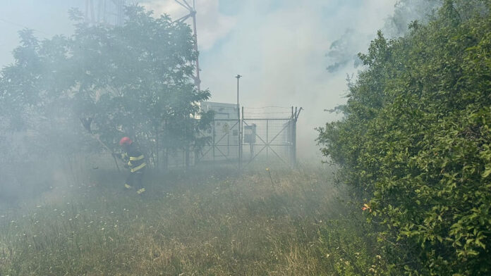 incendiu-vegetatie-uscata-padurea-carpinis-blaj-24-iun-2025.jpg