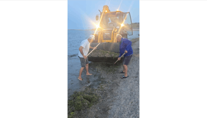 alge-litoral-1752218847.png