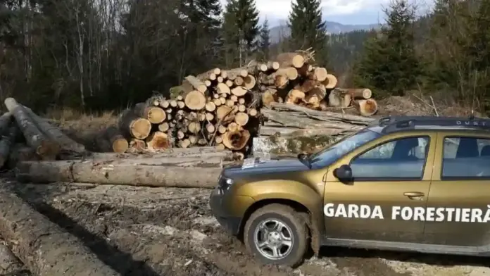 garda-forestiera-confiscare-lemn.webp.webp