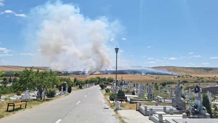 incendii-tulcea-1751466870.jpg