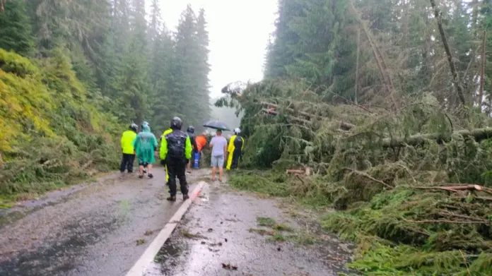 trafic-bloca-pe-DN-67C-Transalpina-ziua-copaci-cazuti-pe-carosabil.webp.webp
