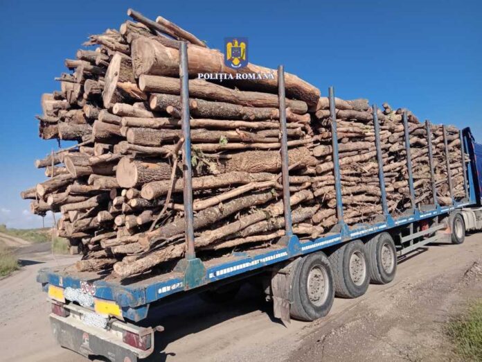 material-lemnos-confiscat001.jpg