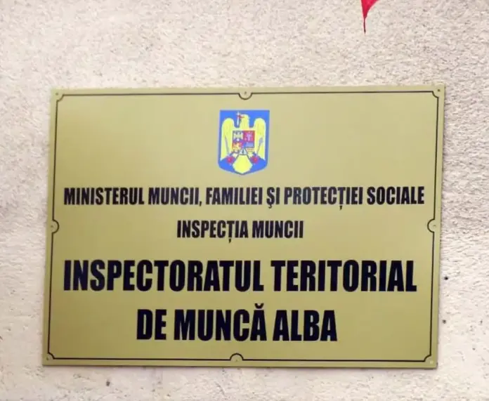 itm-alba.webp.webp