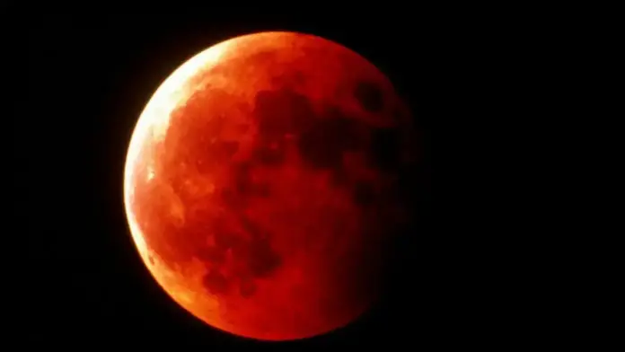 luna-rosie.webp.webp